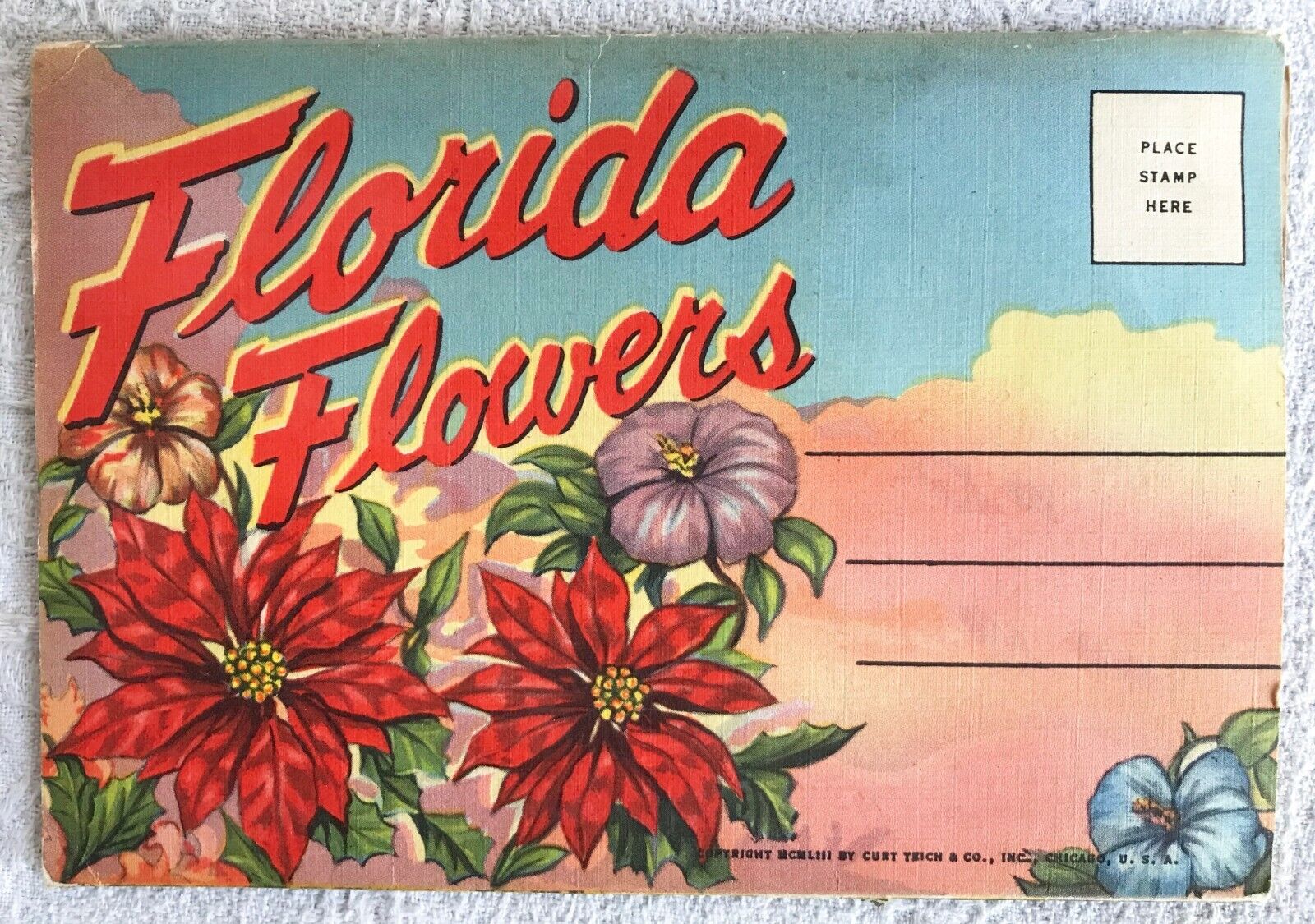 Florida Flowers Fold Out Color Linen Postcard Set 1953 Teich Unused