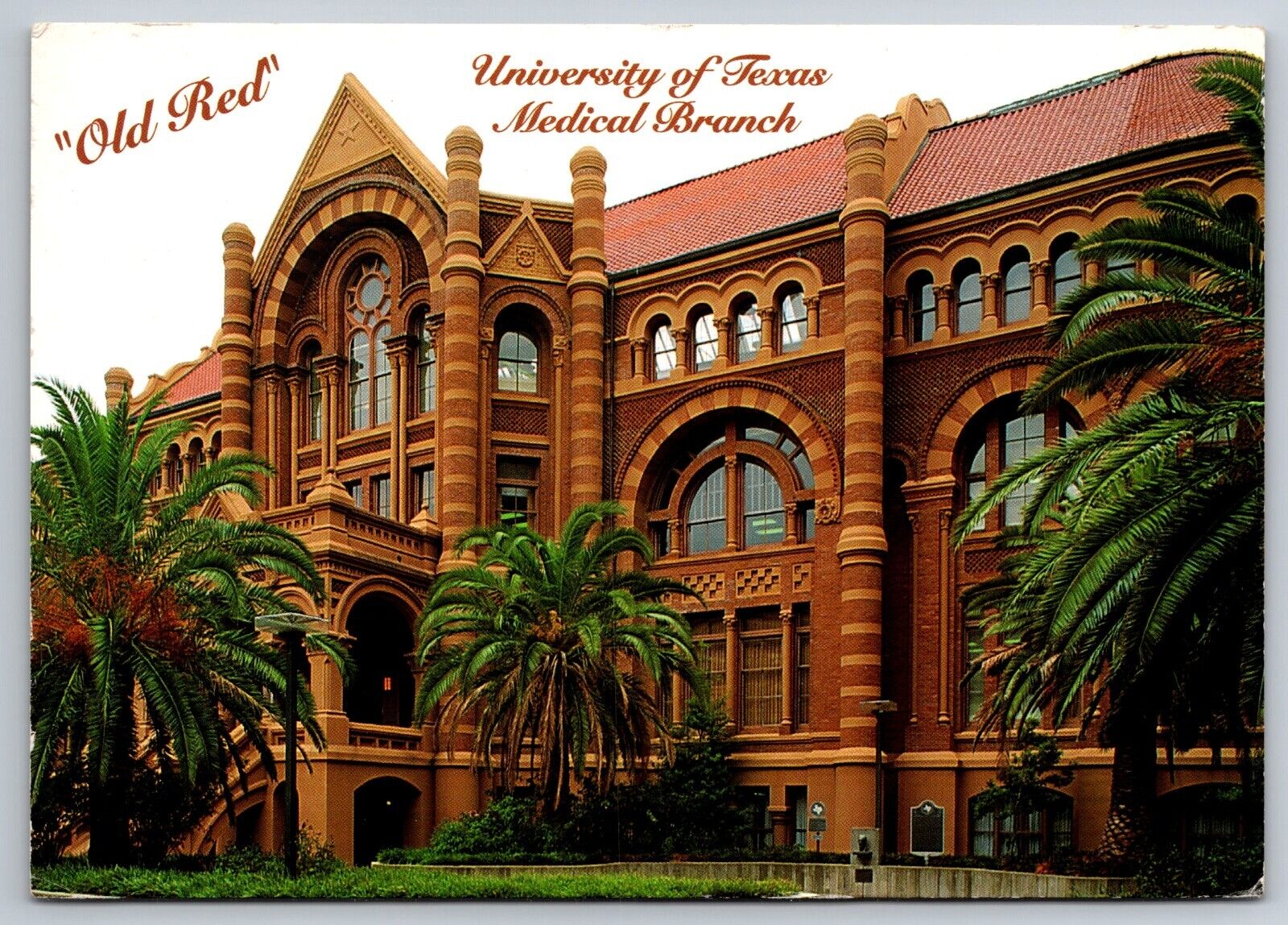 Postcard - OLD RED, The Ashbel Smith building 2002