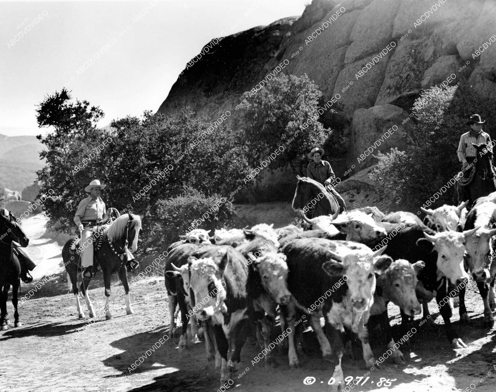 crp-31065 1949 Gene Autry on cattle drive film Riders in the Sky crp-31065