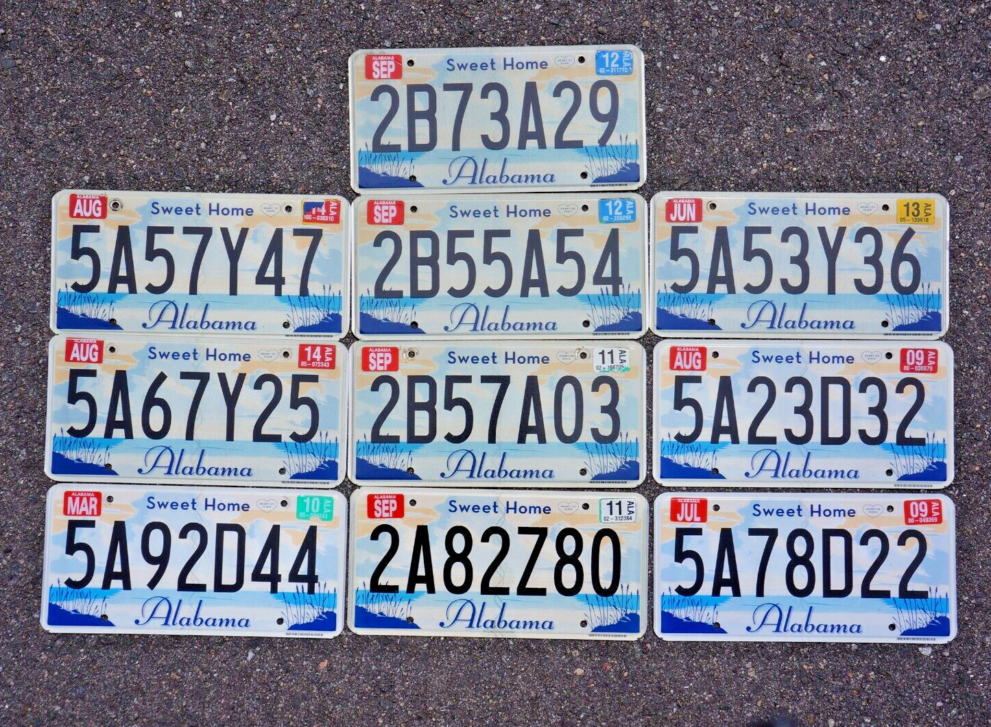 Alabama SWEET HOME Graphic License Plate Plates - LOT OF 10