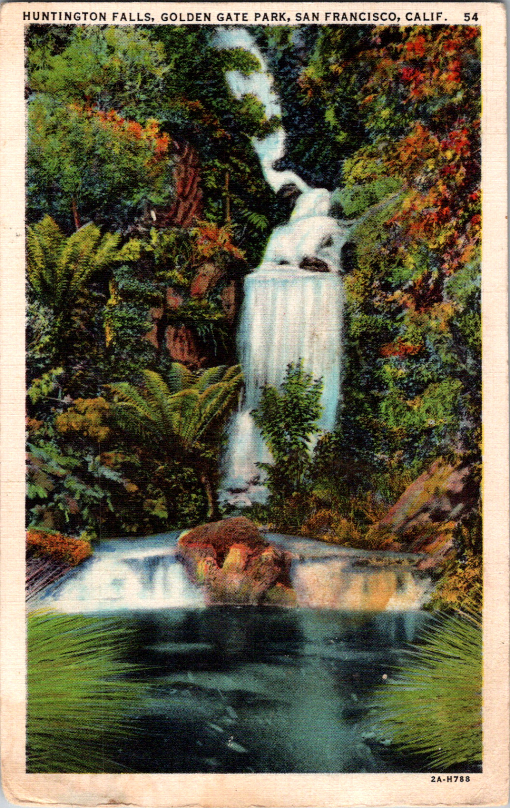 C. 1930's Huntington Falls Golden Gate Park San Francisco CA Postcard Waterfall