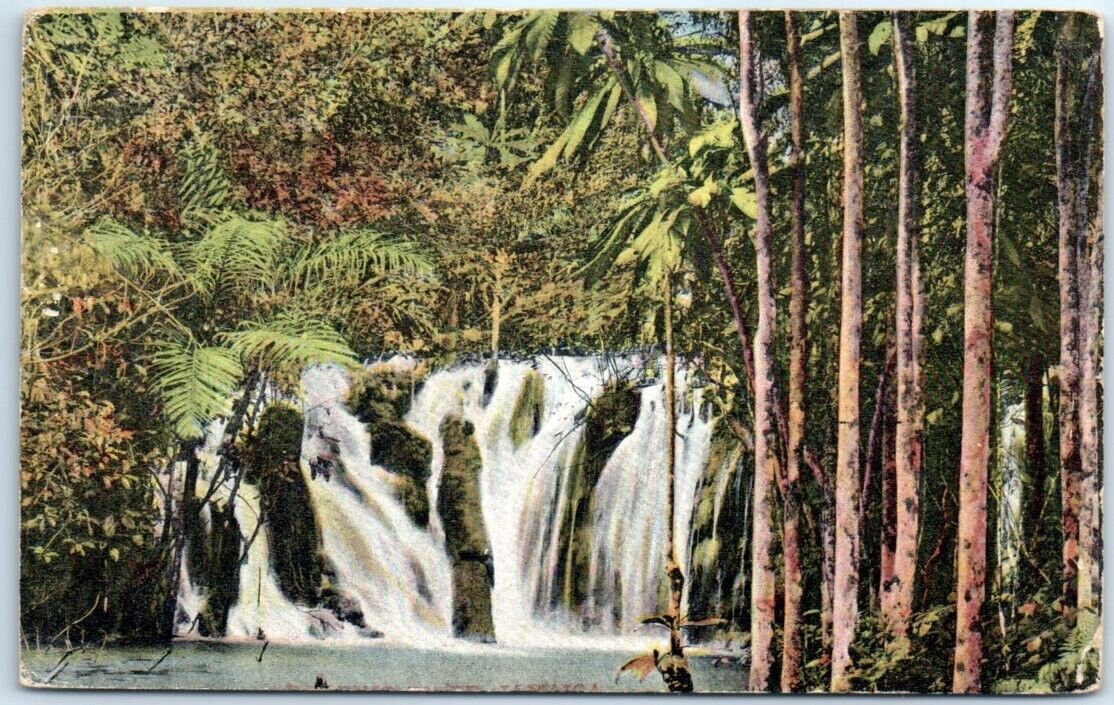 Postcard - Nature Scenery  - Falls, Tree