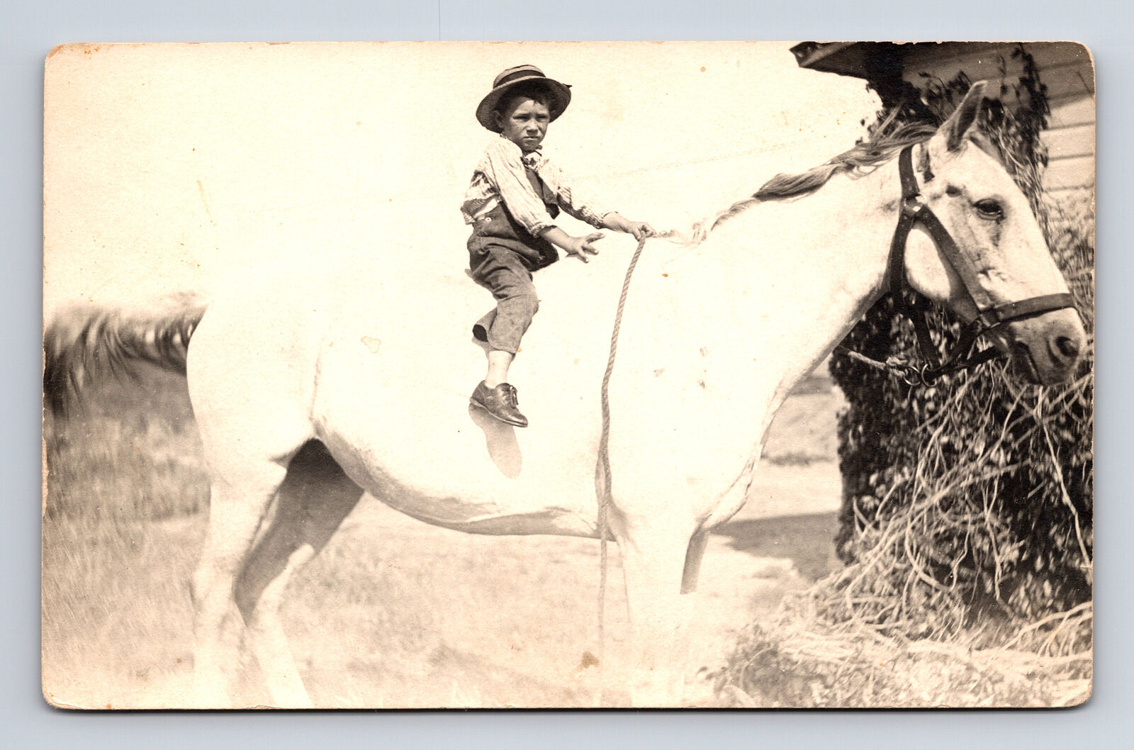 RPPC Small Boy on Big Horse at Farm Real Photo Postcard