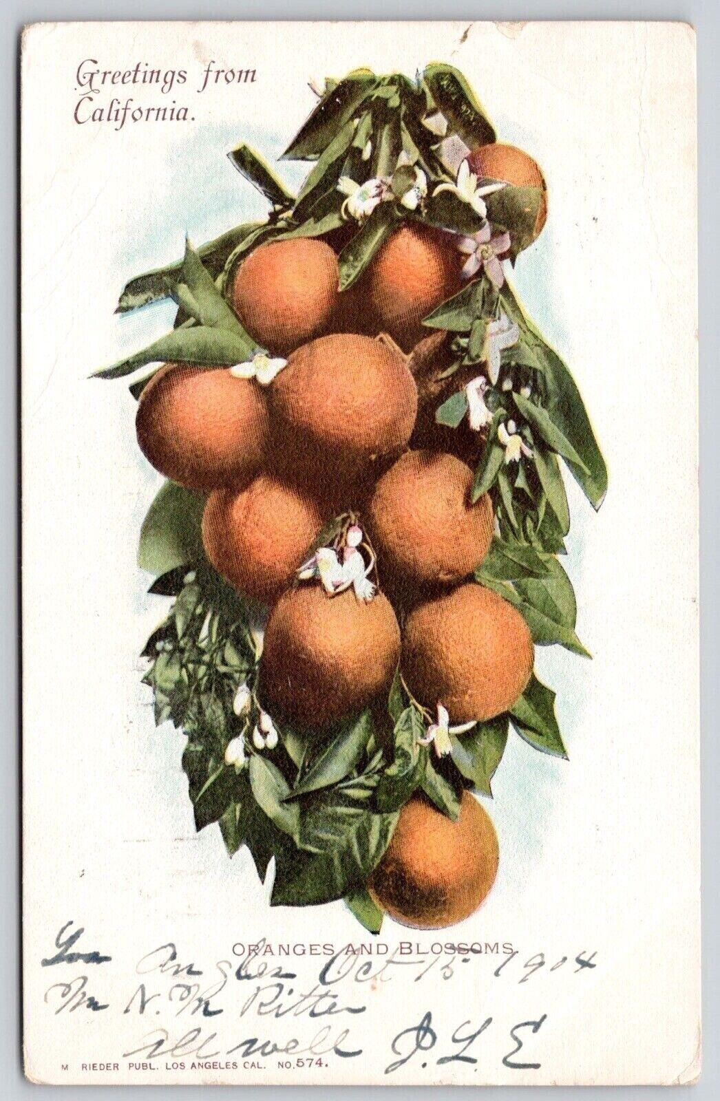 Greetings California Oranges Tropical Fruits Cancel 1904 Antique WOB PM Postcard