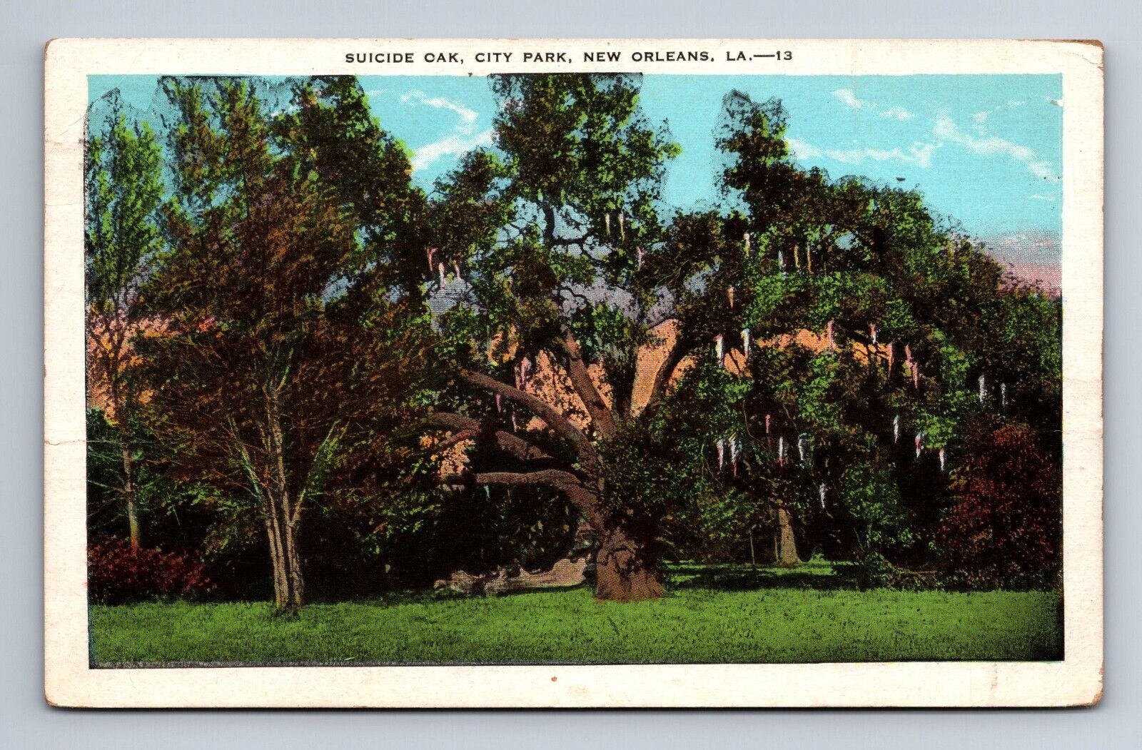 Suicide Oak City Park New Orleans LA Postcard c1932