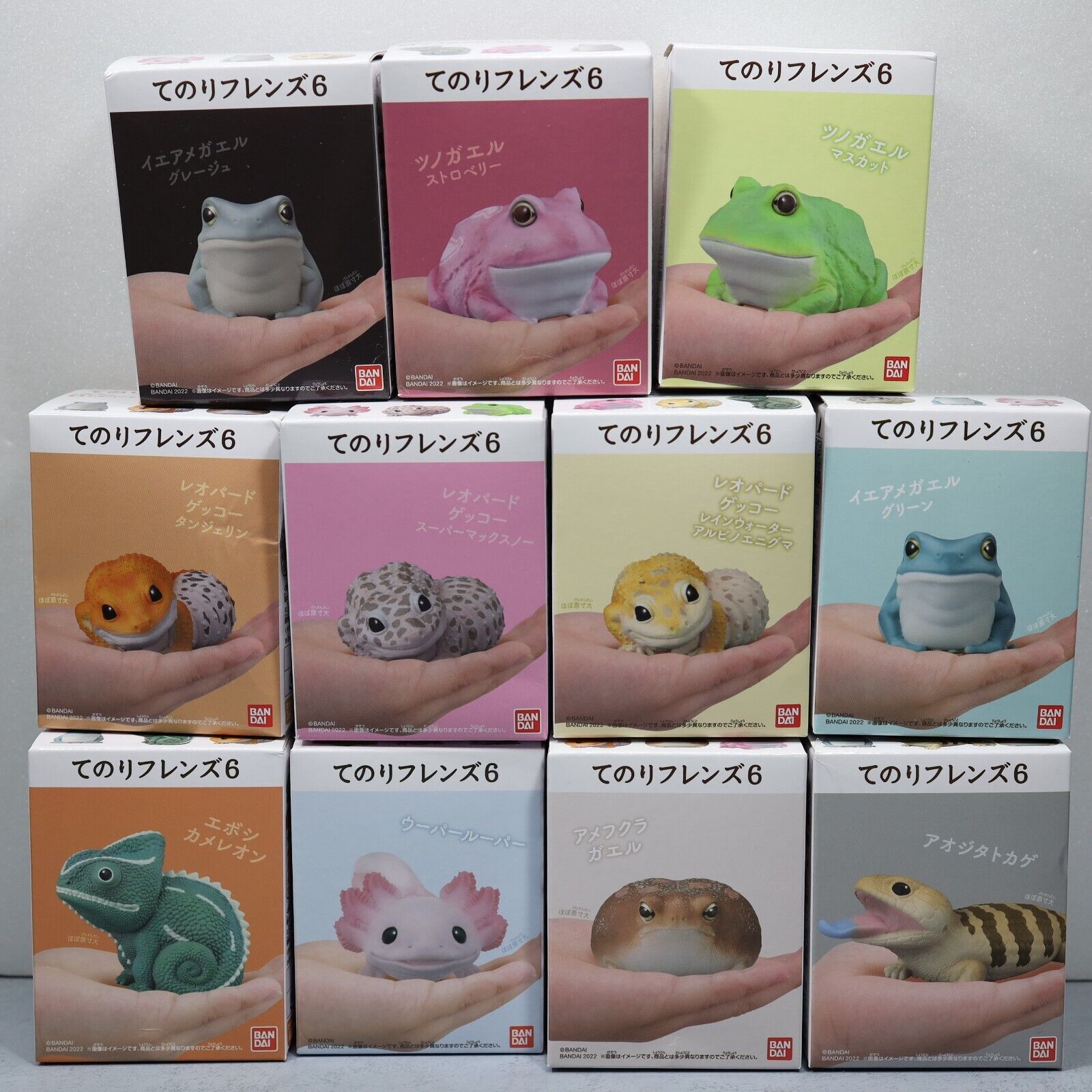 Tenori Friends vol.6 Reptile 11 Figure Complete Set BANDAI from Japan