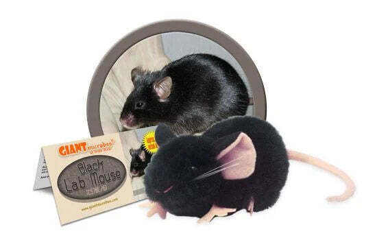 Black Lab Mouse (C57BL/6) Giant Microbes Plush