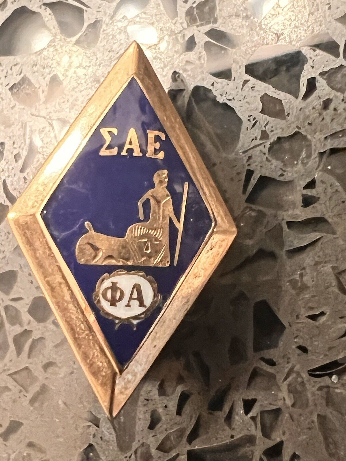 SIGMA ALPHA EPSILON Greek Fraternity Pin 10 K Gold Dark Blue Enamel Vintage