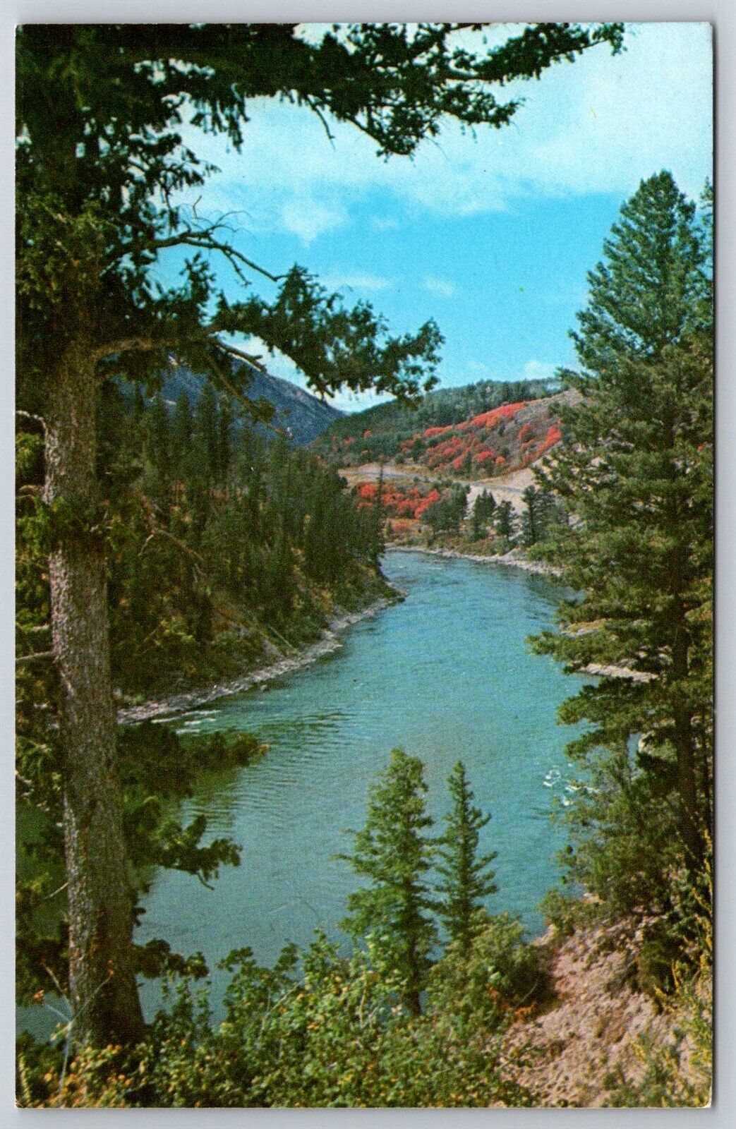Postcard Logan Bear Lake Canyon Body Water Utah Forest Chrome Vintage