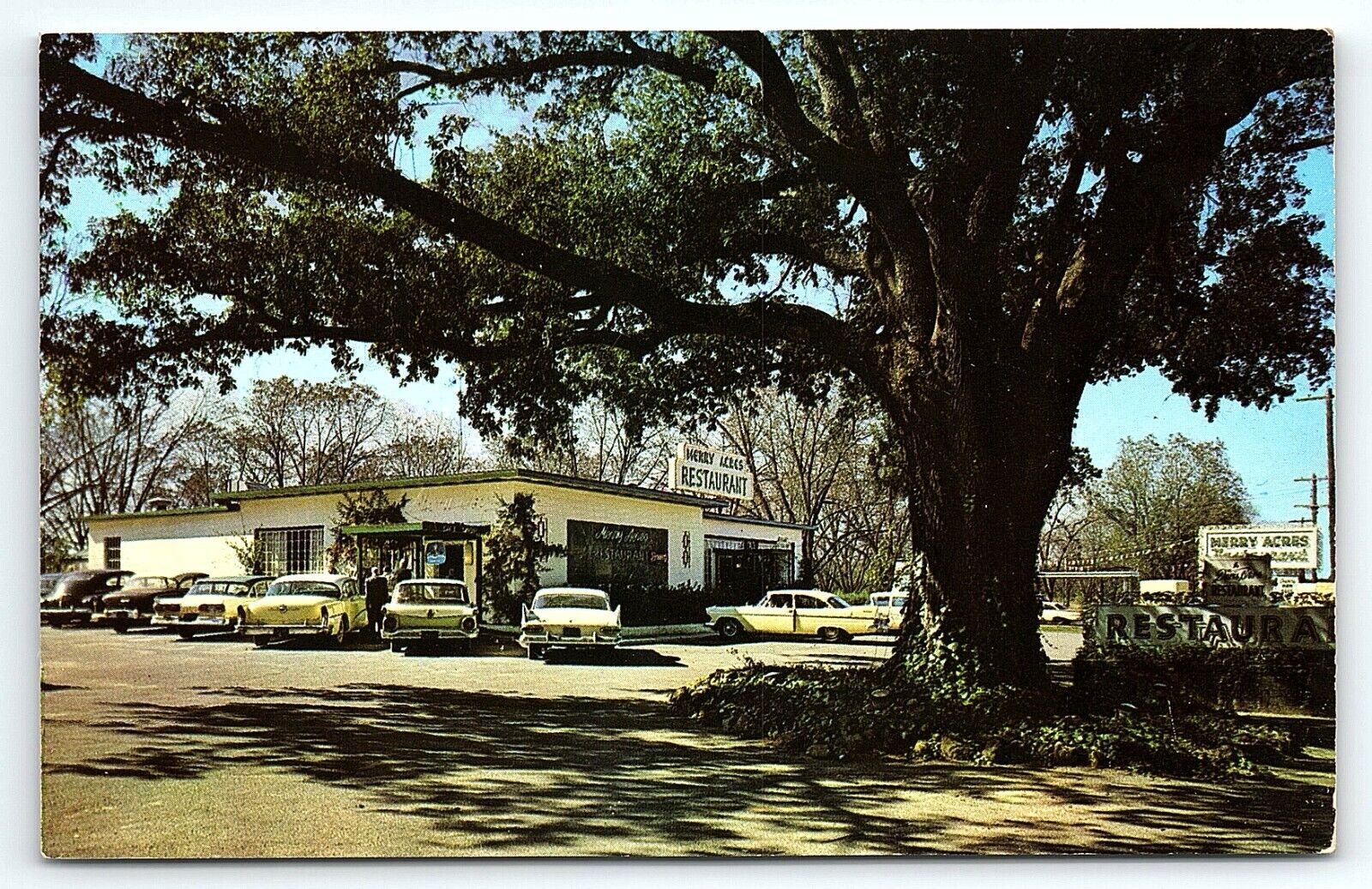 1950s ALBANY GA MERRY ACRES RESTAURANT HWY 82 OLD CARS UNPOSTED POSTCARD P3864