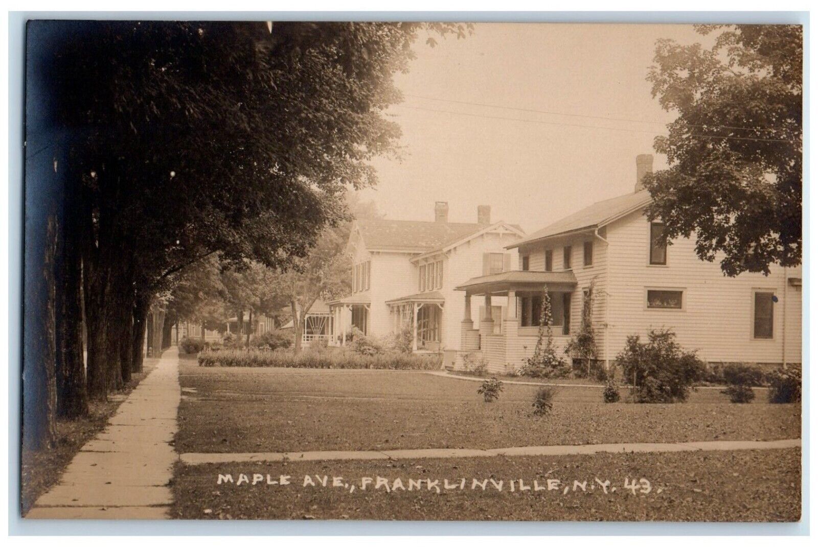 c1910's Maple Avenue Franklinville New York NY RPPC Photo Antique Postcard