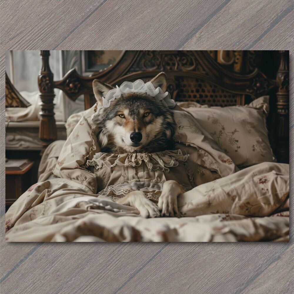 POSTCARD Wolf Dressed As Grandmother Fairytale Red Riding Hood Bed Funny Weird
