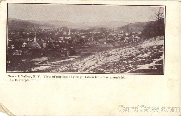Newark Valley,NY Tioga County New York G.E. Purple Antique Postcard Vintage
