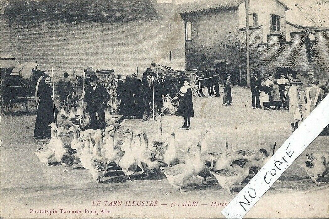 antique postcard Tarn, Albi, goose market