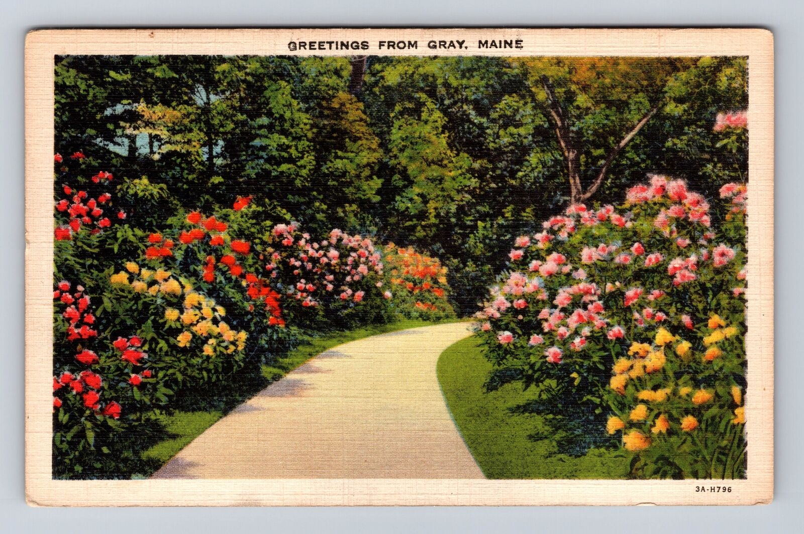 Gray ME-Maine, Greetings, Scenic Flower Lined Walkway, Antique Vintage Postcard