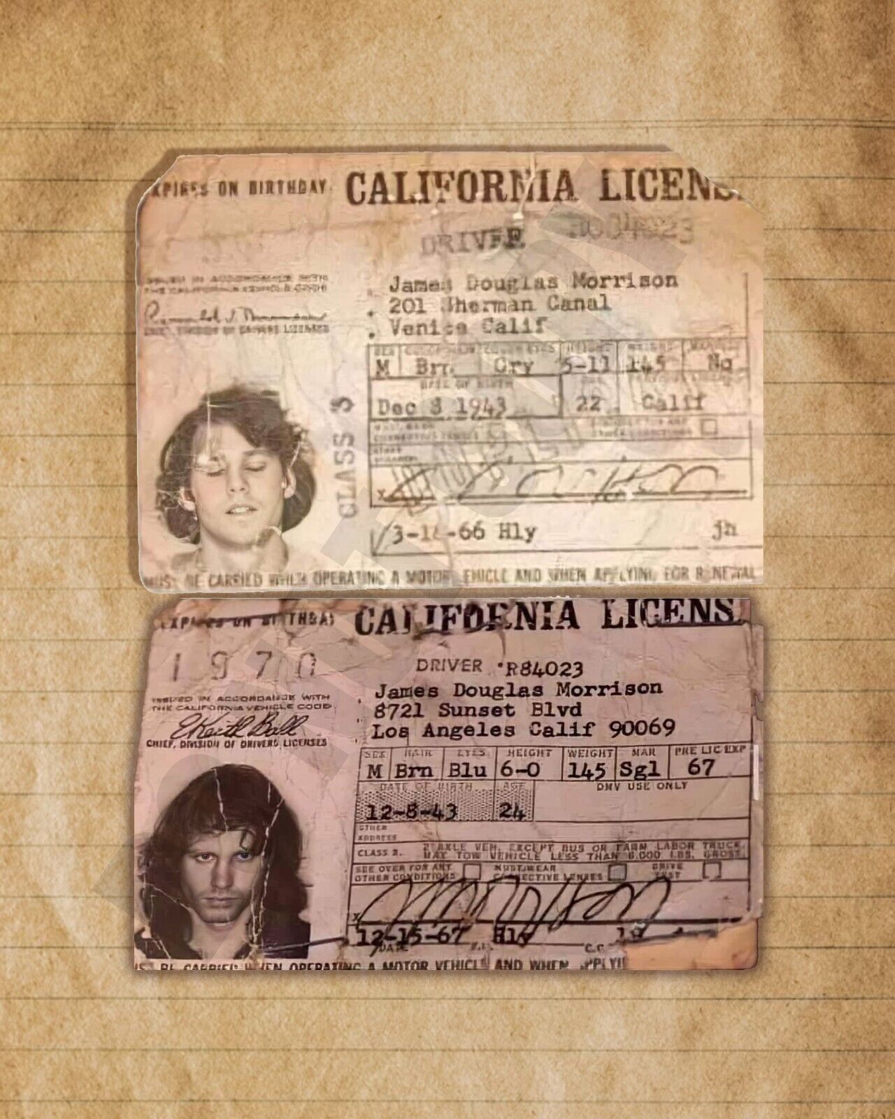 Jim Morrison The Doors Old California Driver\'s Licenses 8x10 Photo