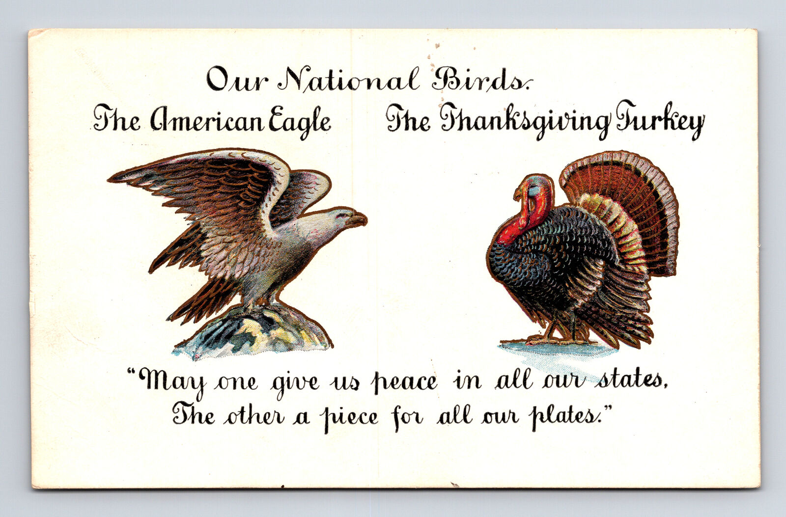 1906 National Birds Bald Eagle Thanksgiving Turkey Patriotic Humor Postcard