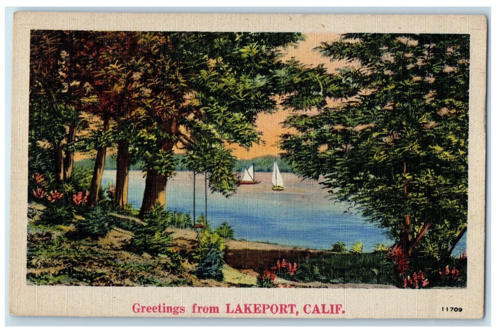 1946 Greetings From Lakeport California CA Posted Yachts Lake Trees Postcard
