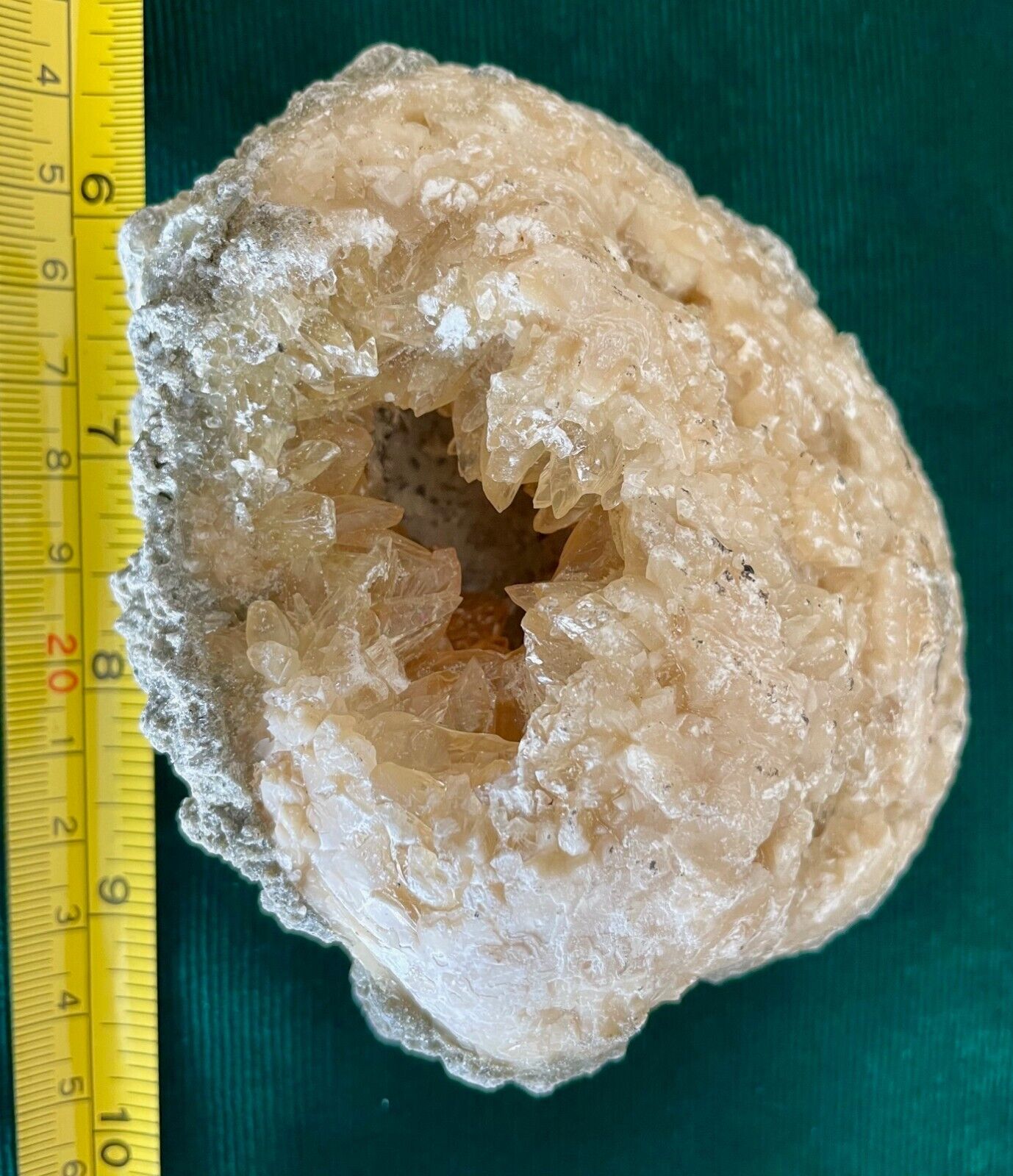 Fossil Calcite Clams with bright Dog Teeth pointed calcite