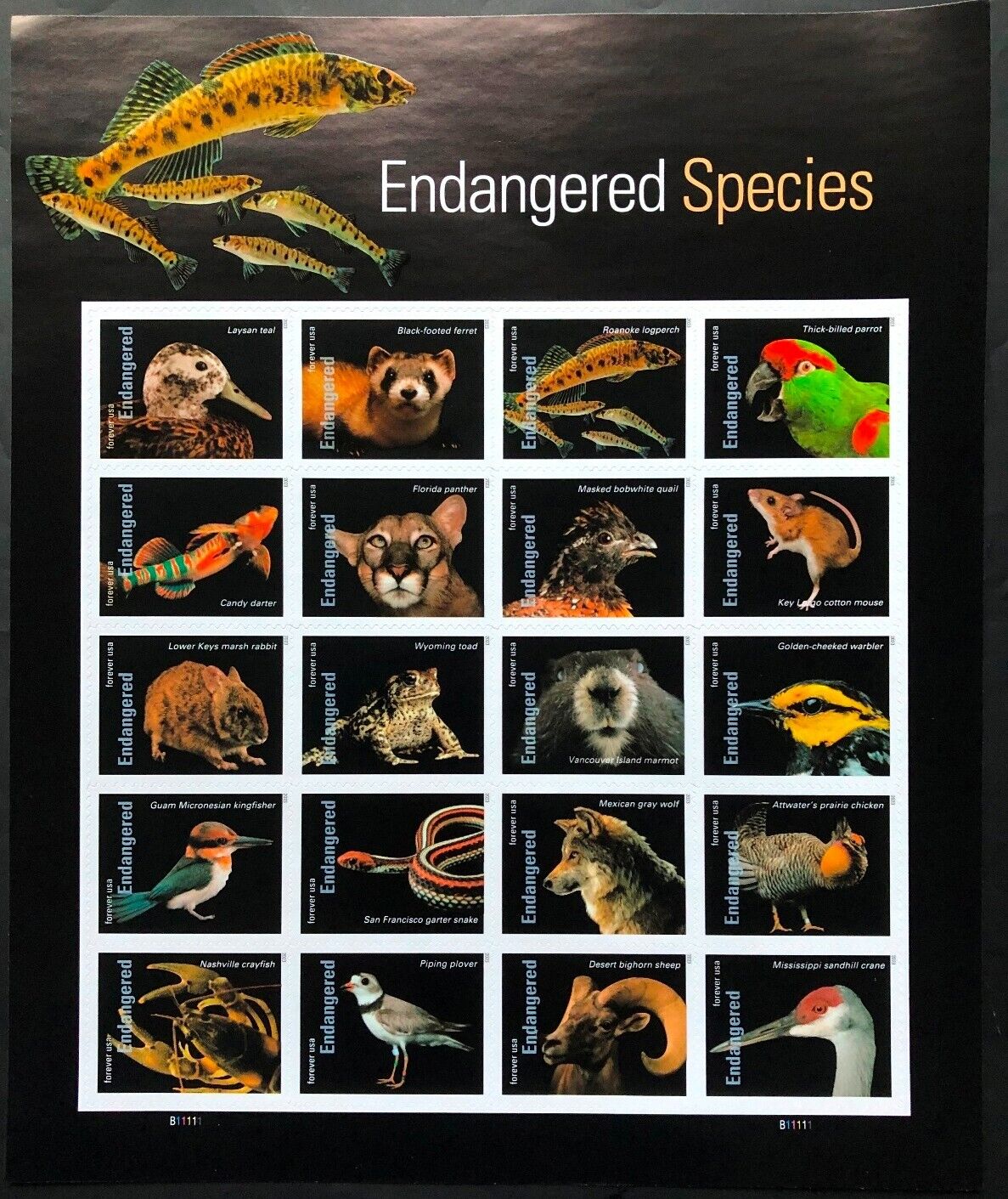 United States 2023 Endangered Species Postage Booklet Stamps of 20 MNH
