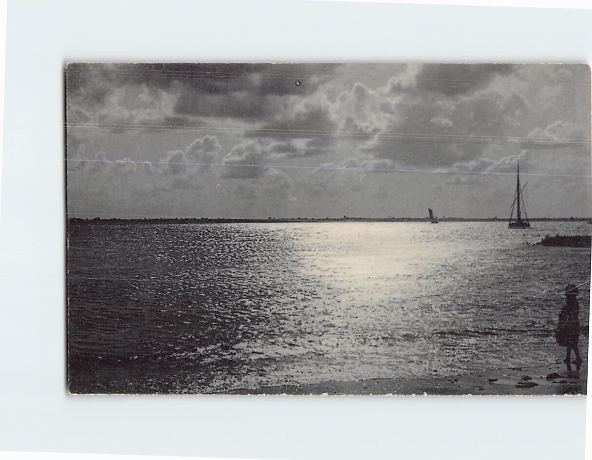 Postcard Evening Seascape Scenery