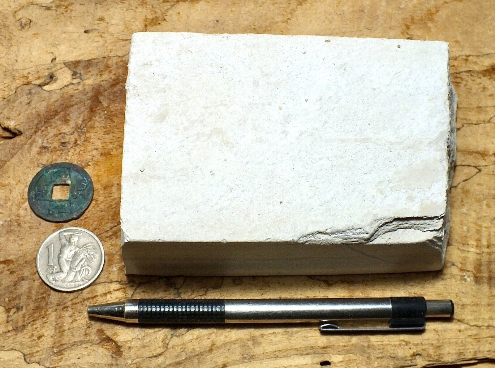 diatomite - hand specimen of Monterey  formation diatomite from Newport Back Bay