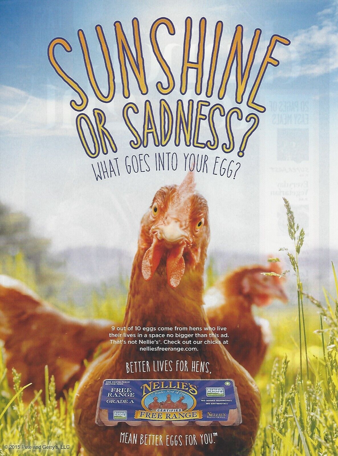 2015 Pete & Gerry's Nellie's Free Range Eggs print ad Food advertisement