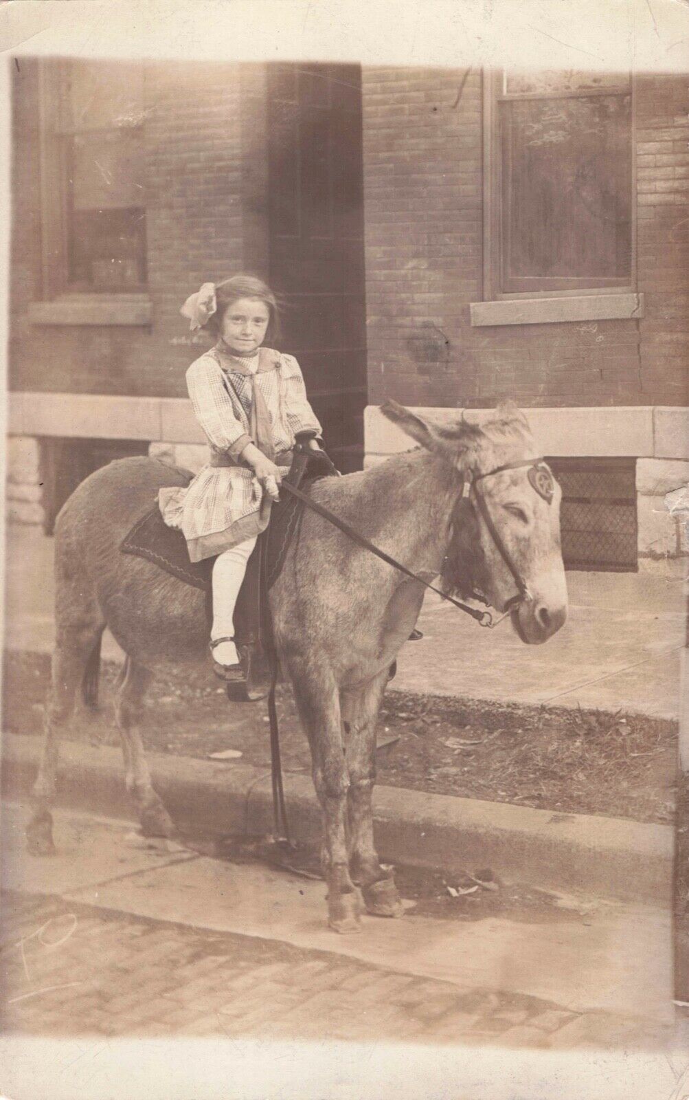 RPPC Little Girl Age 7 in Dress on Donkey Real Photo Postcard 1904-1918