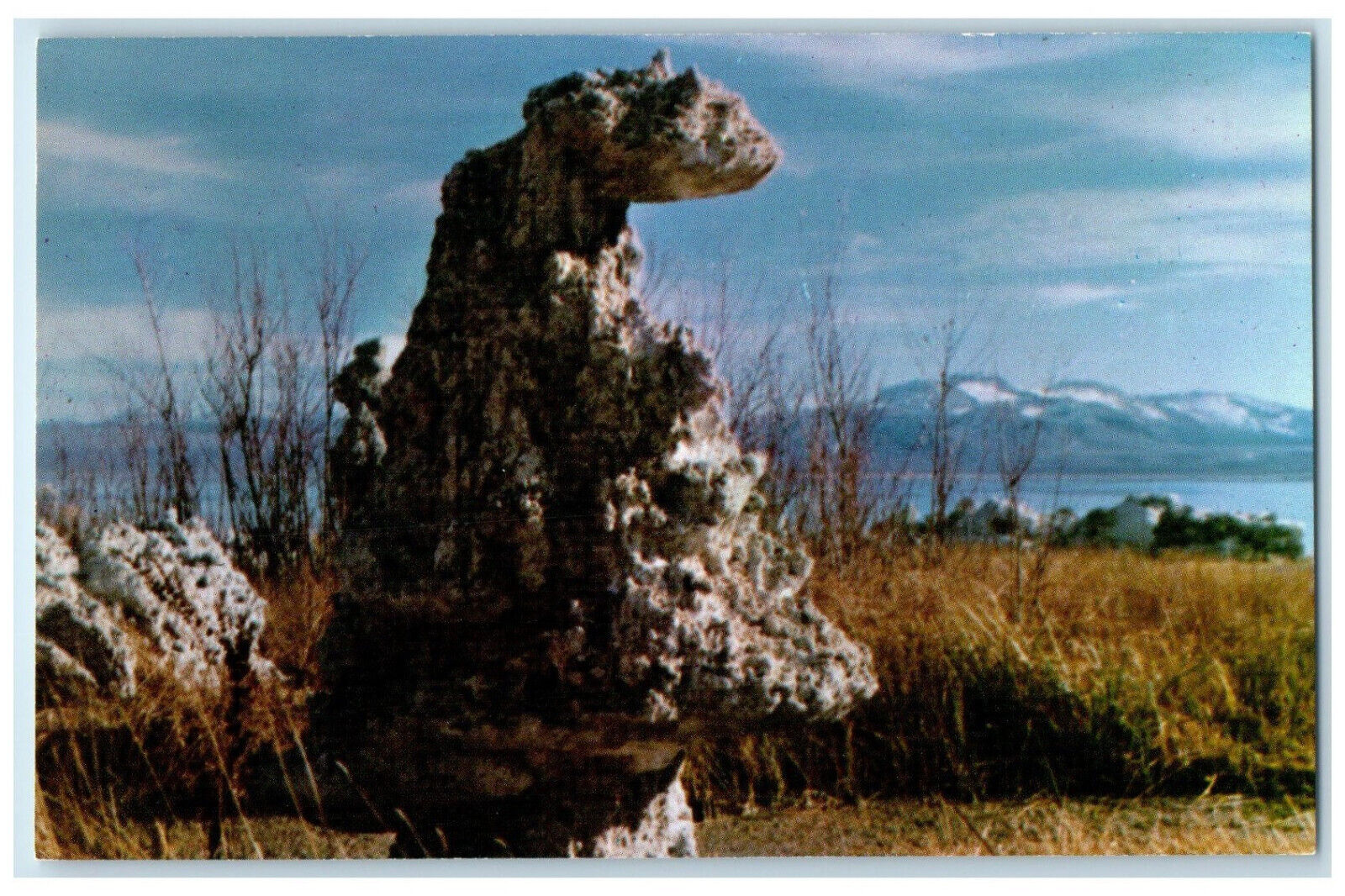 c1950's The Cobra Tufa Formations Lee Vining California CA Unposted Postcard
