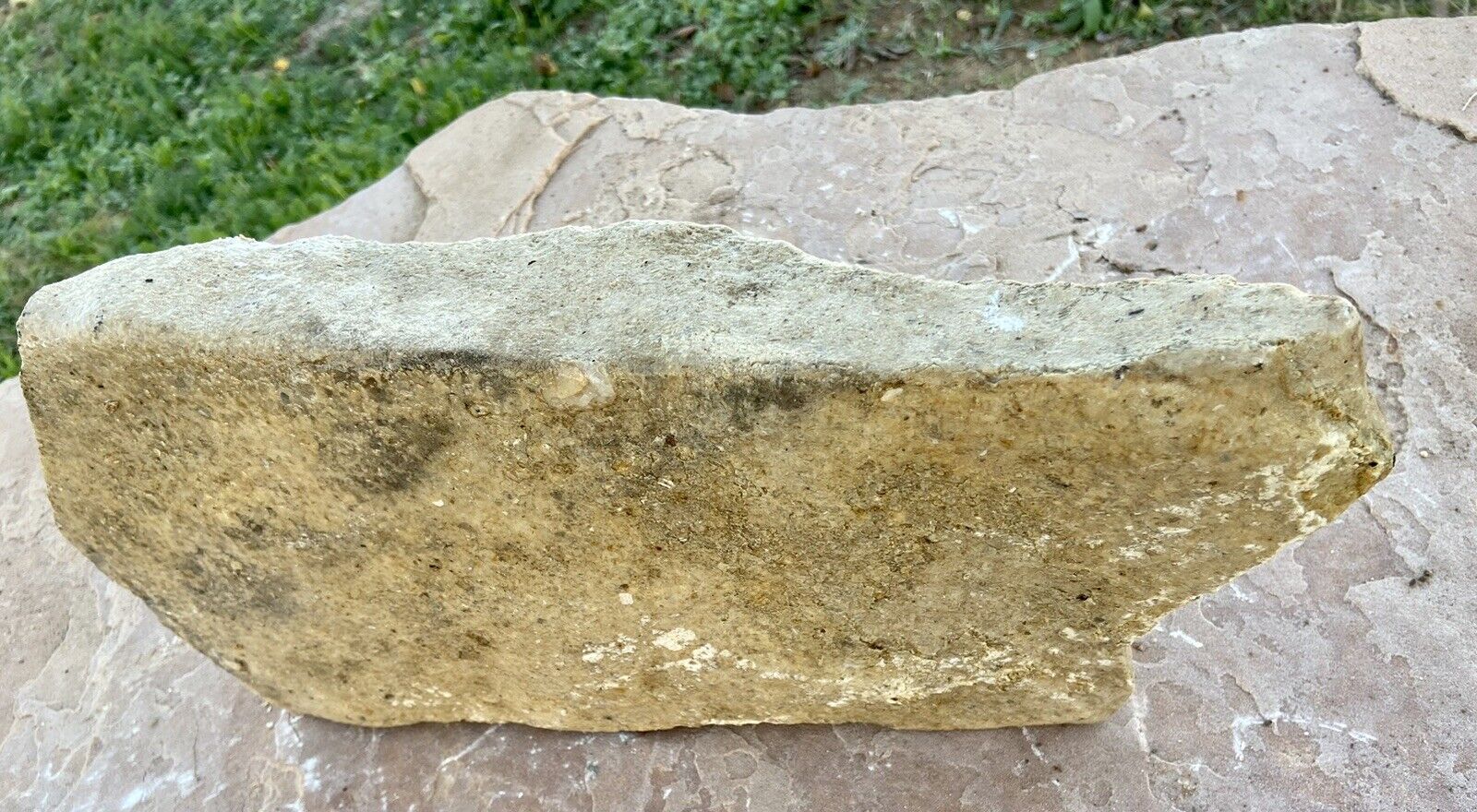 PRETTY & HEAVY* 18.8 Lb Flat Texas Fossiliferous Limestone~ Unique Natural Decor