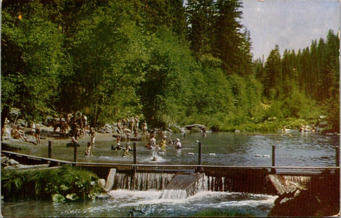Quincy CA Oakland Feather River Camp Swimming Spanish Creek Swimmer postcard JP1