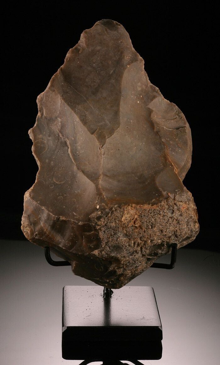 Homo erectus Handaxe, Flint (with stand)...Pleistocene: 400,000 years old