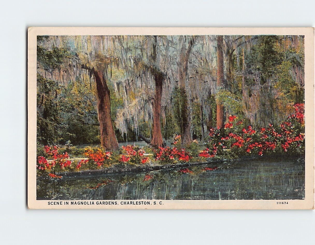 Postcard Scene in Magnolia gardens Charleston South Carolina USA