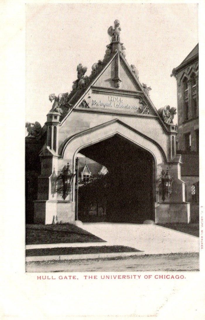 Chicago IL-Illinois University Of Chicago Hull Gate Antique Vintage Postcard