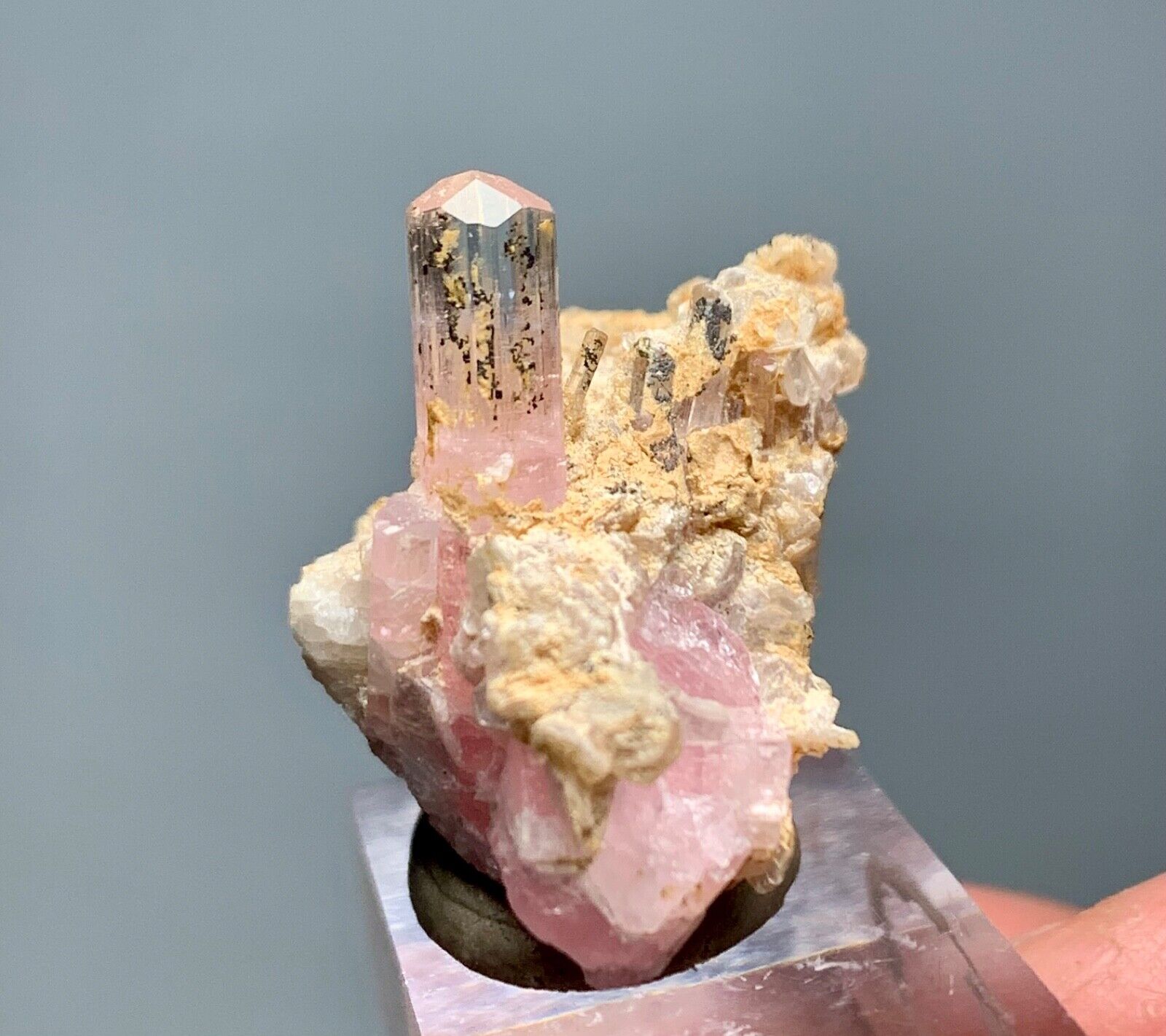 40 Carat Pink Tourmaline Crystal Specimen From Afghanistan