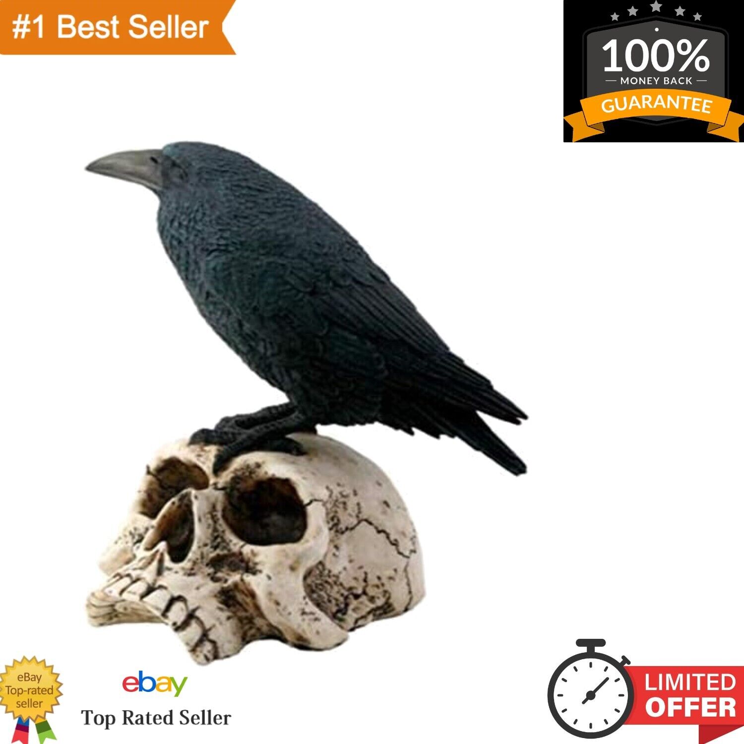 Elegant Raven Crow Skeleton Figurine - Intricately Crafted Resin Statue