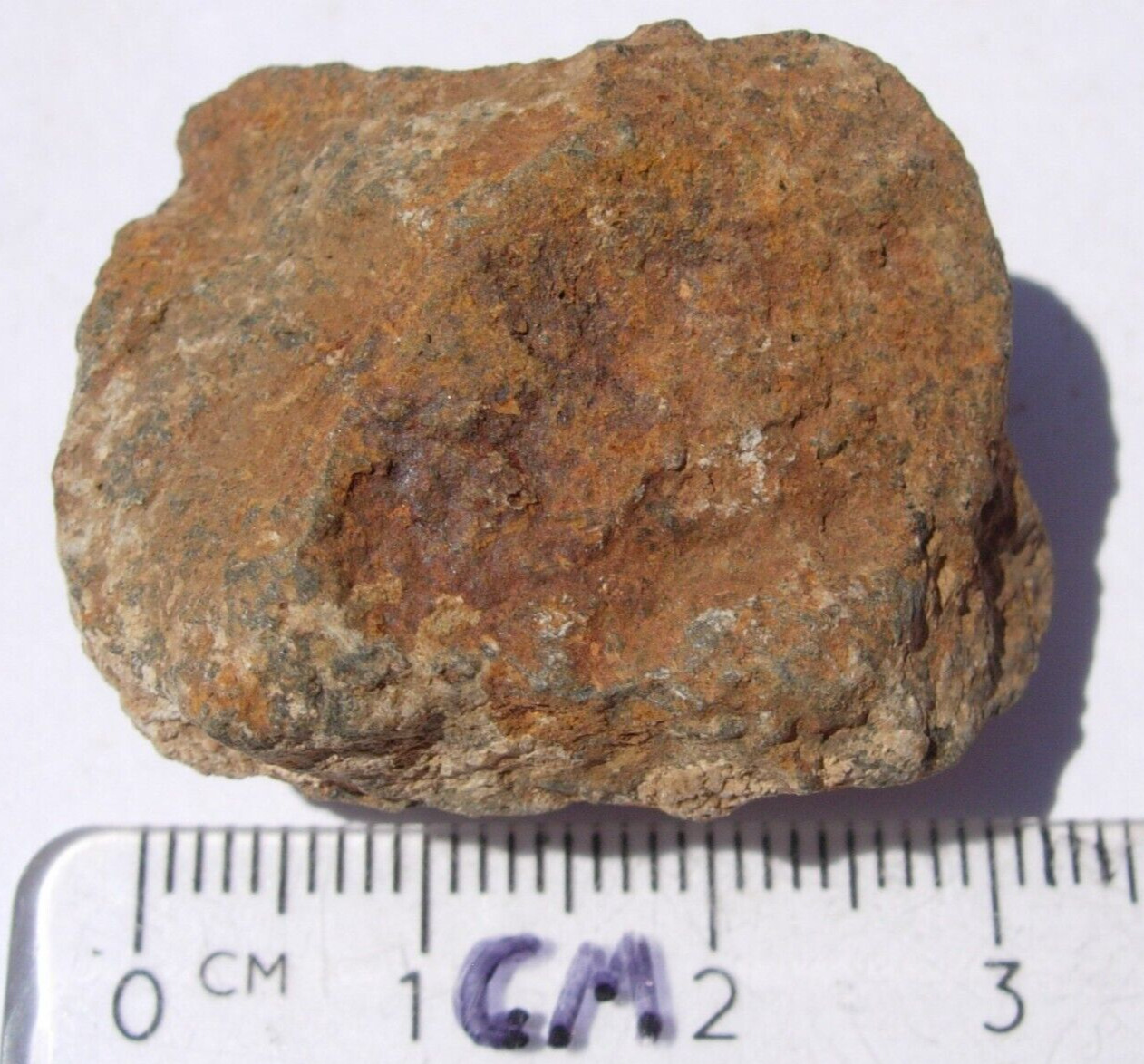 27 gram Tsarev Meteorite ( class L5 ) as found fragment from Russia 1968 + COA
