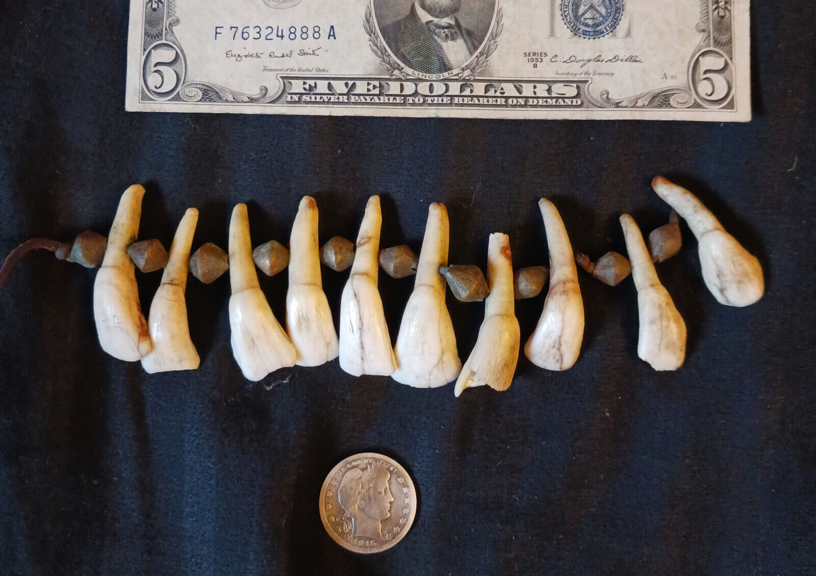 10 Antique CAMEL Tooth Totem Incisors/Amulets I-Teeth Egyptian Necklace & Beads