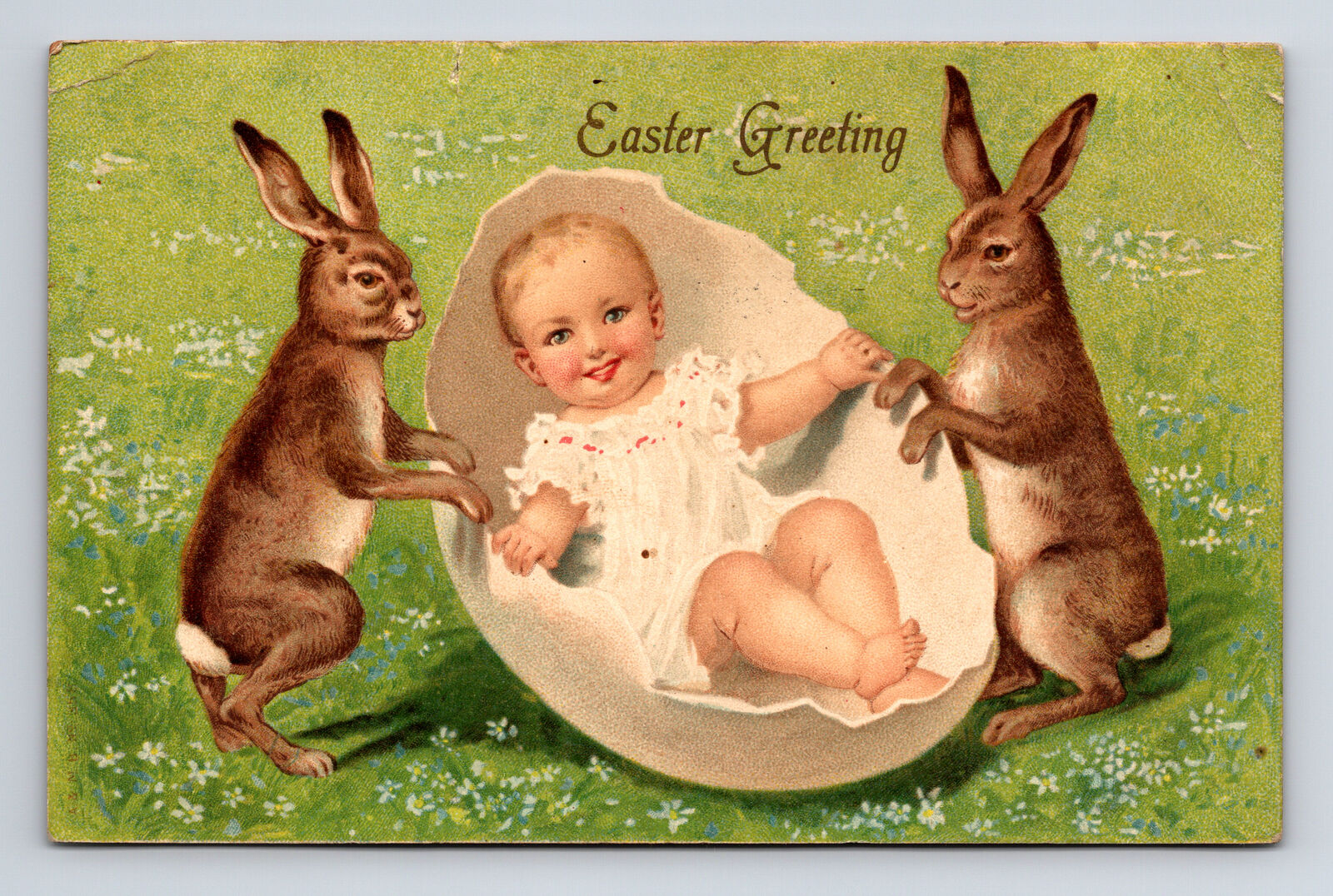 1907 Anthropomorphic Easter Bunny Rabbits Baby In Giant Egg Postcard