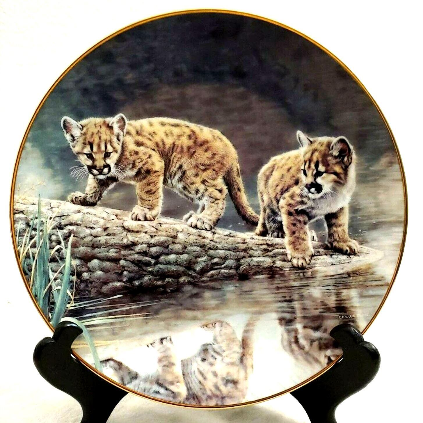 Wild Innocents Reflections Charles Frace Collectors Ceramic Plate Bradford