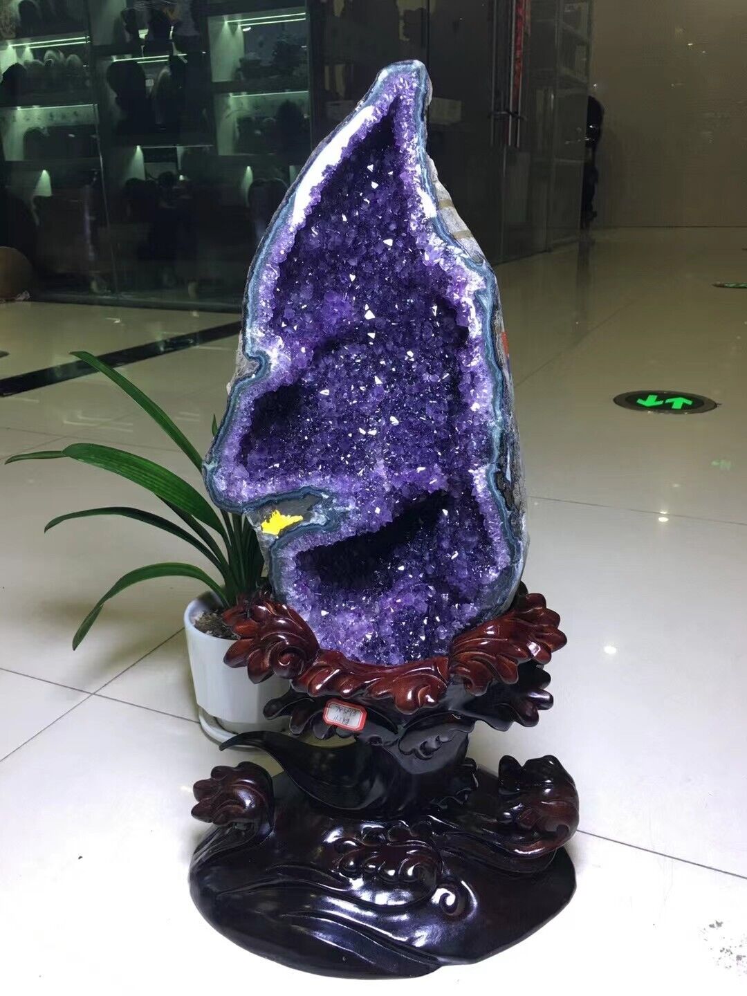 24.64LB TOP Natural Amethyst flower quartz carved crystal Decoration+stand