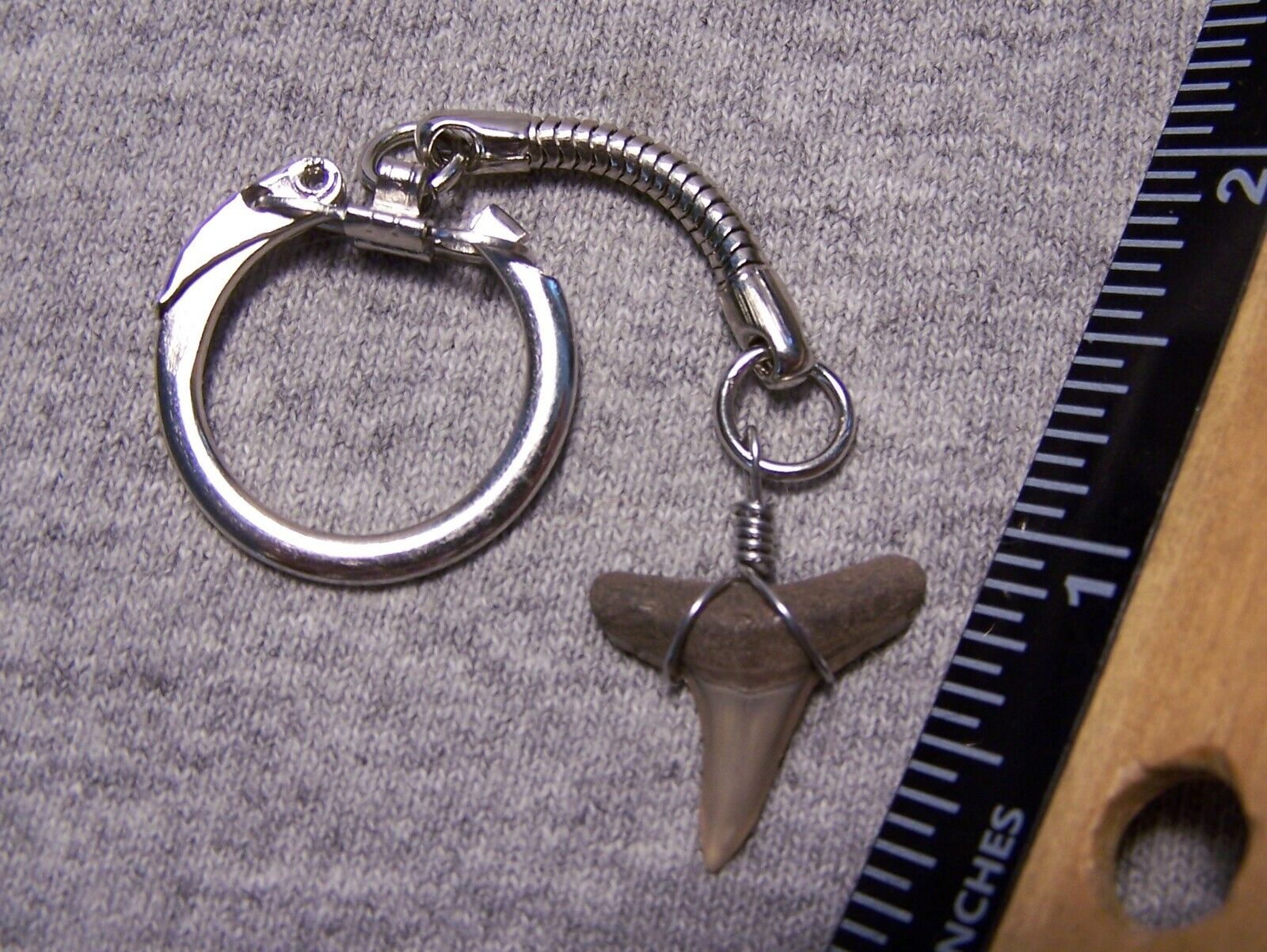 shark tooth keychain fossil teeth keyring accessories sharks jaw megalodon diver