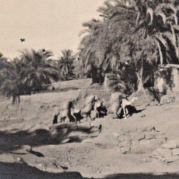 Vintage 1900s RPPC Luxor City Ruin Excavation Egypt Postcard