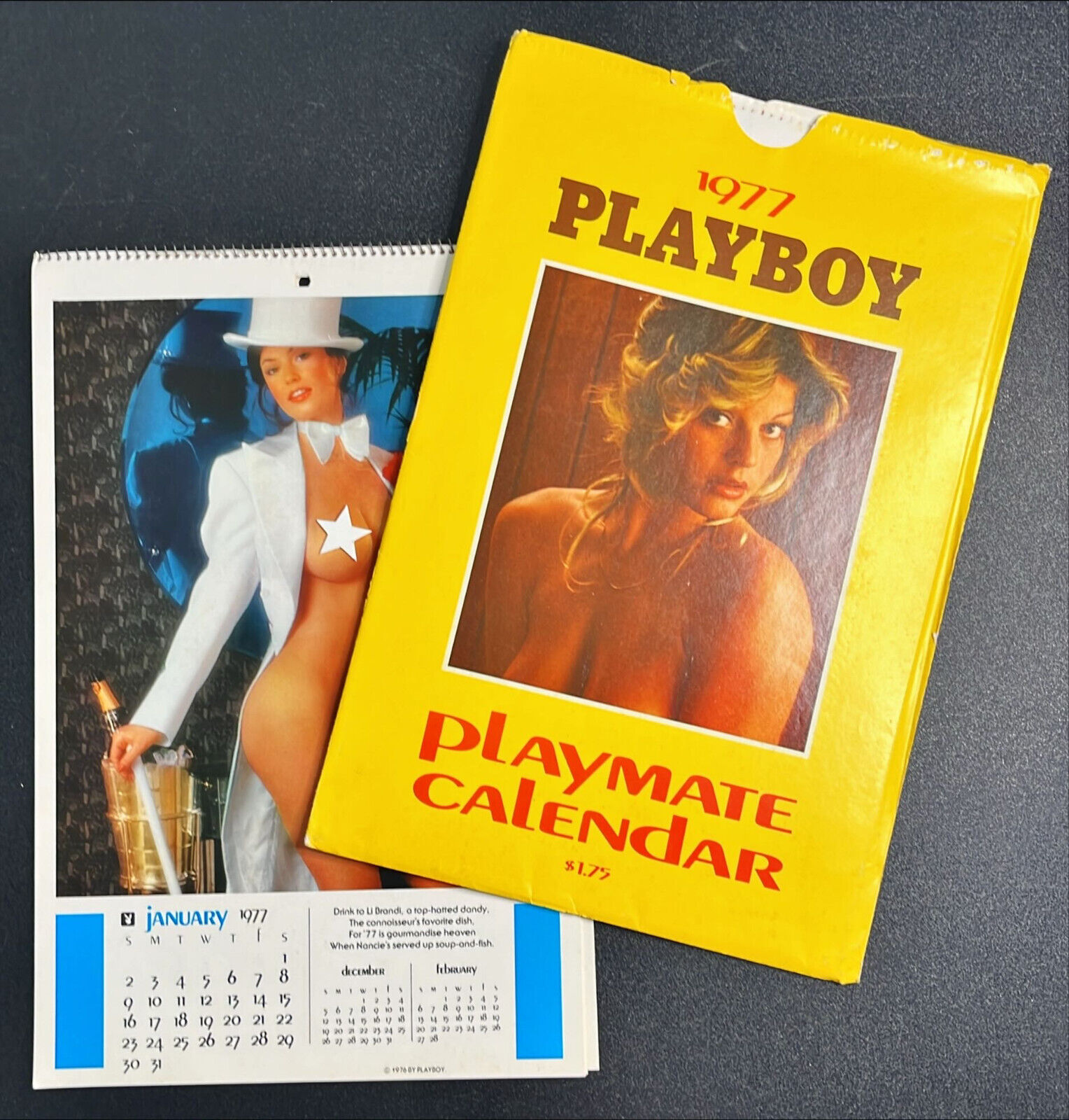 Vintage 1977 PLAYBOY PLAYMATE Calendar w/ ORIGINAL sleeve