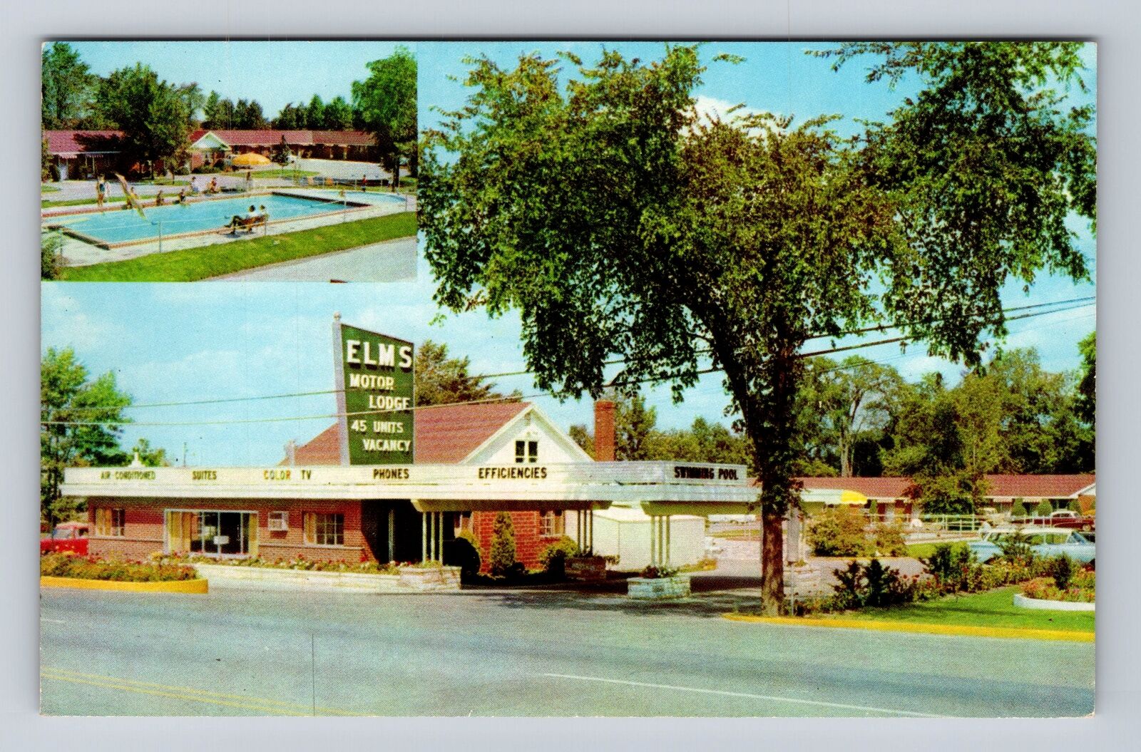 Flint MI-Michigan, Elms Motor Lodge, Advertisement, Antique, Vintage Postcard