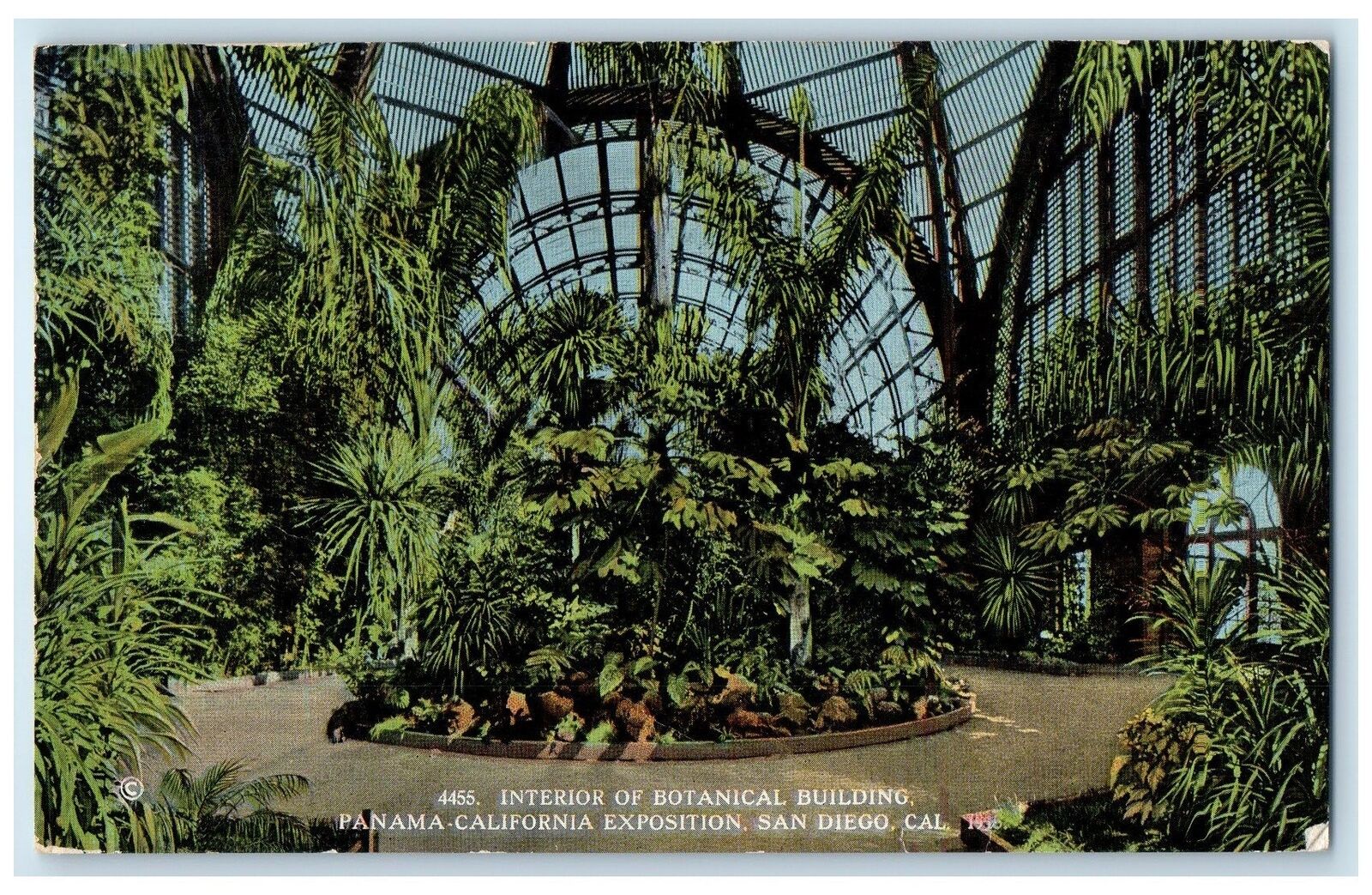 1916 Interior Of Botanical Building Exposition San Diego California CA Postcard