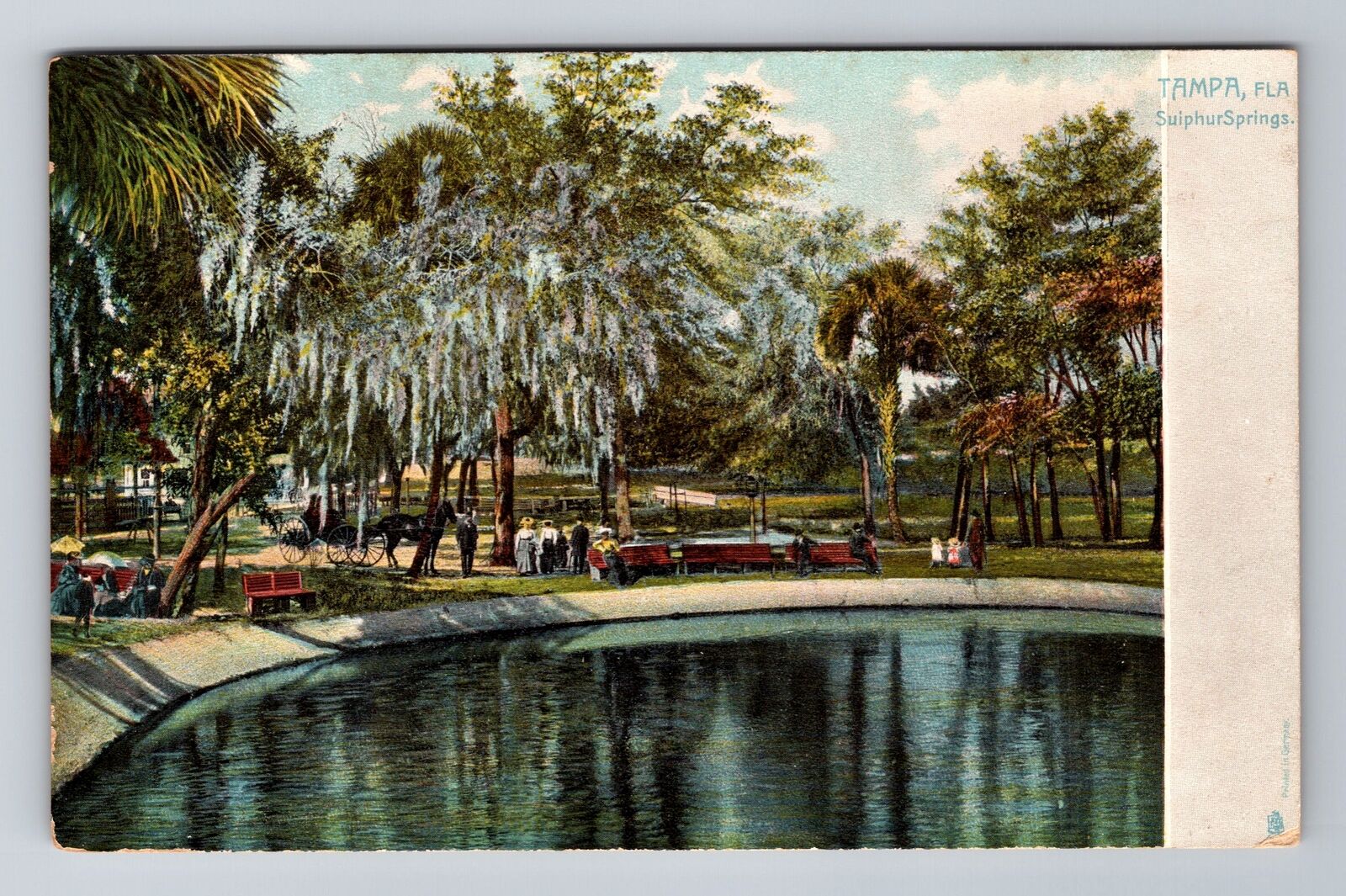 Tampa FL-Florida, Sulphur Springs, Antique, Vintage Souvenir Postcard