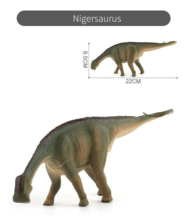 Jurassic Realistic Nigersaurus Dinosaur Figure Model For Kids Dino Toy Gift