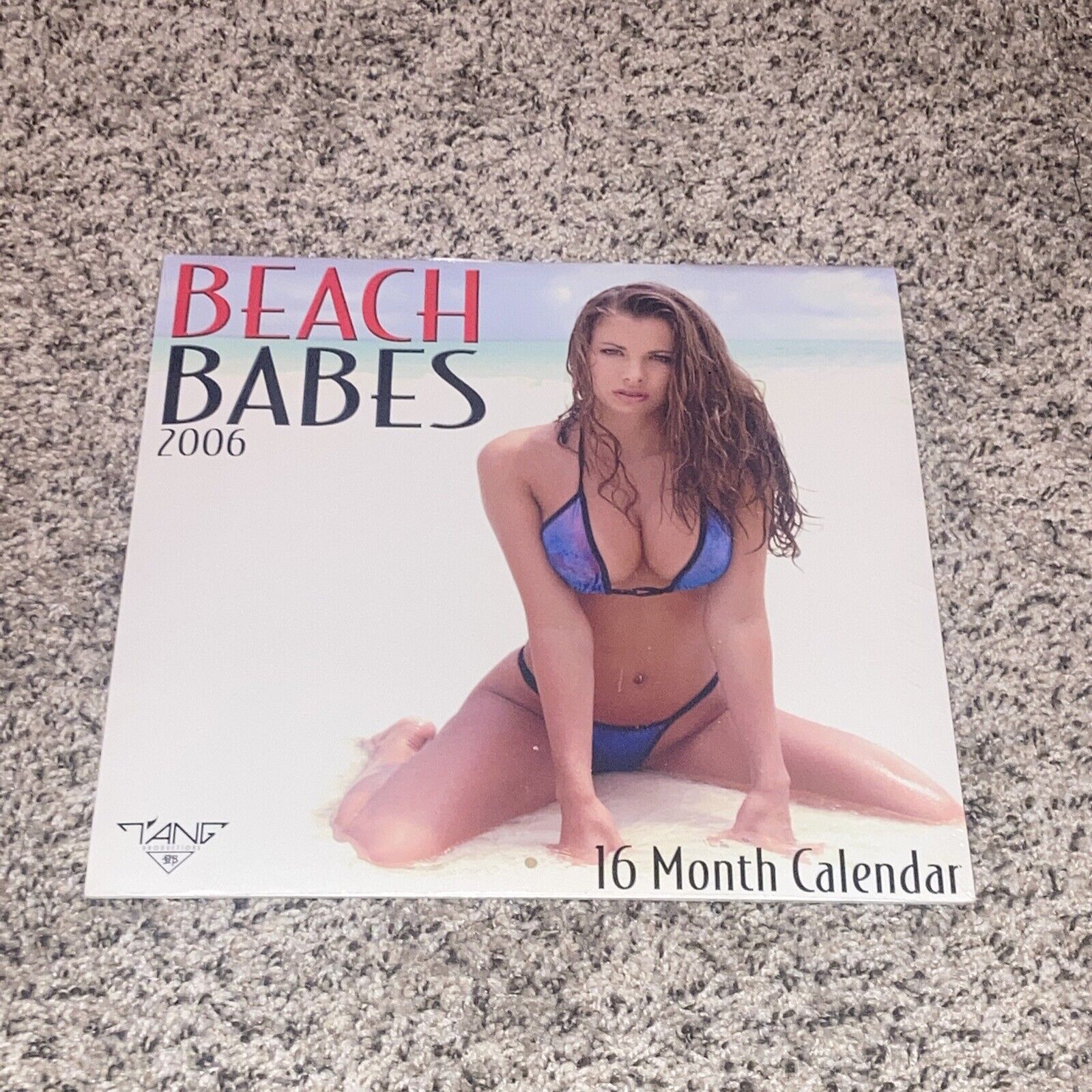 Beach Babes Calendar 2006 Vintage Sealed Zebra Publishing