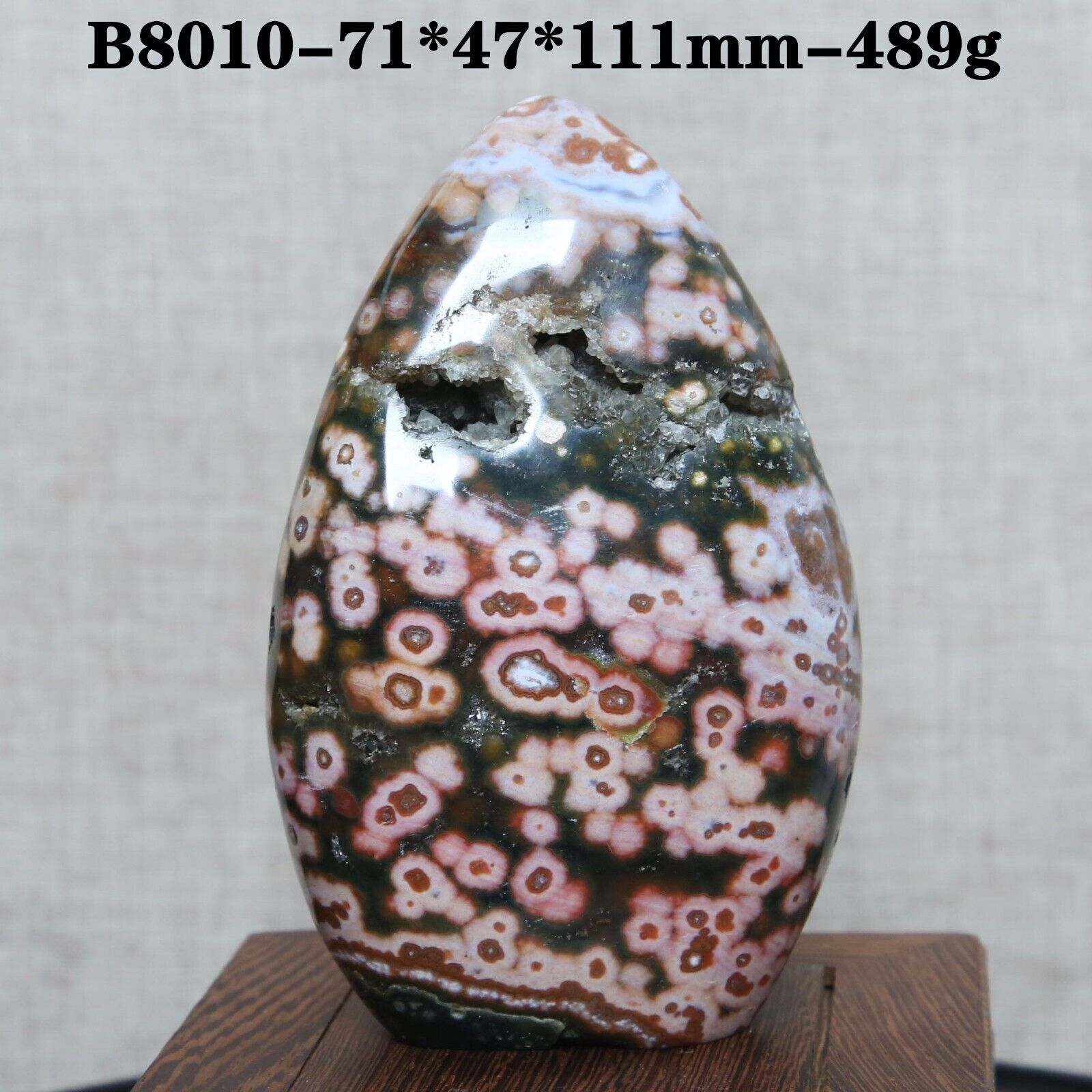 B8010-489g  Amazing Orbicular Ocean Jasper Agate Small Druzy Slab Crystal Reiki